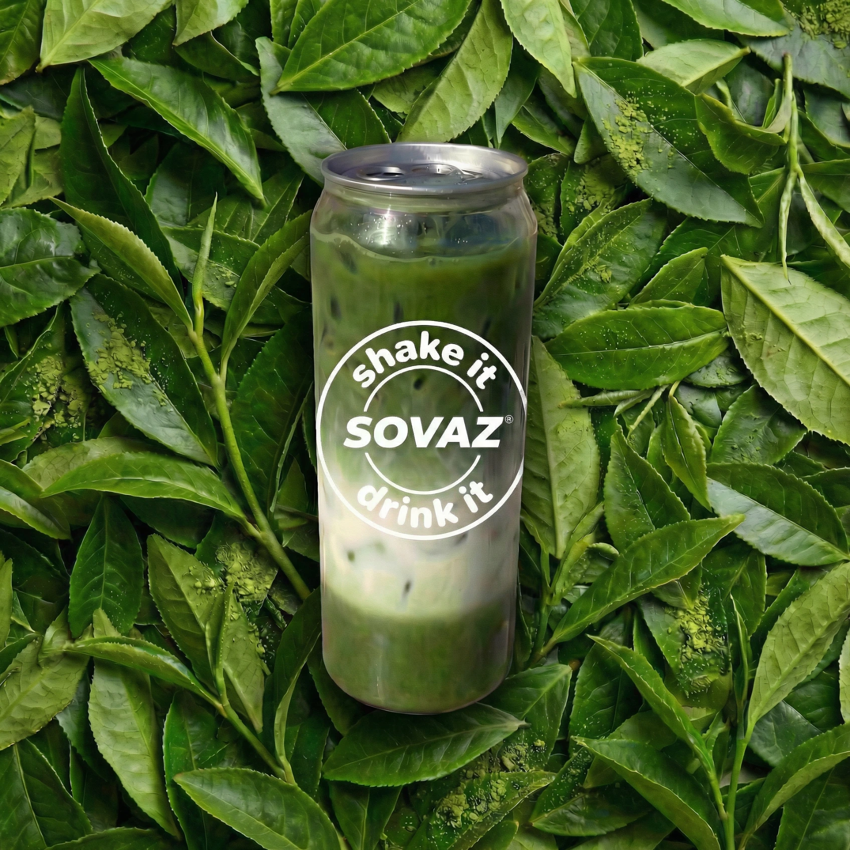 SOVAZ - Latas con bebidas, aperitivos y comida. Costa del Sol - Malaga y Marbella